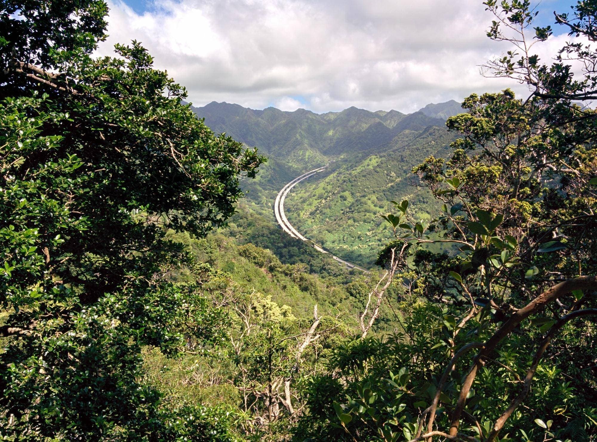Aiea